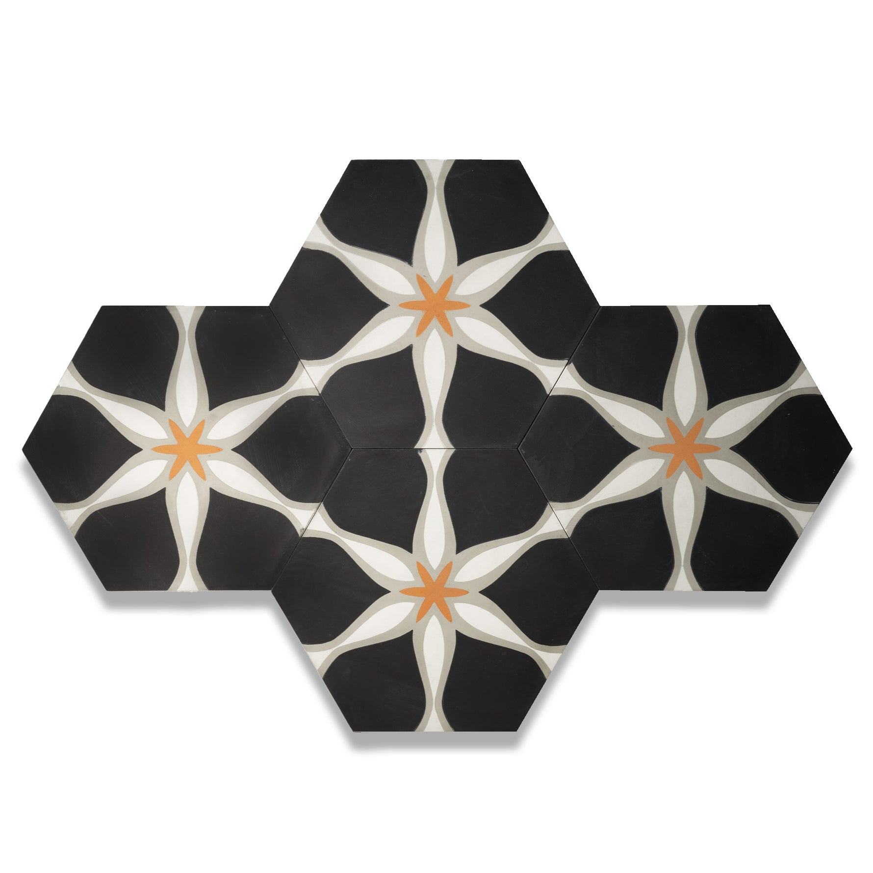 #color_starfish-3