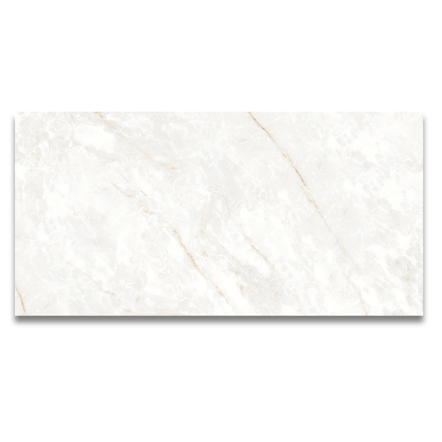 Marble Di Medici 24"x48" Porcelain Tile 3/8"
