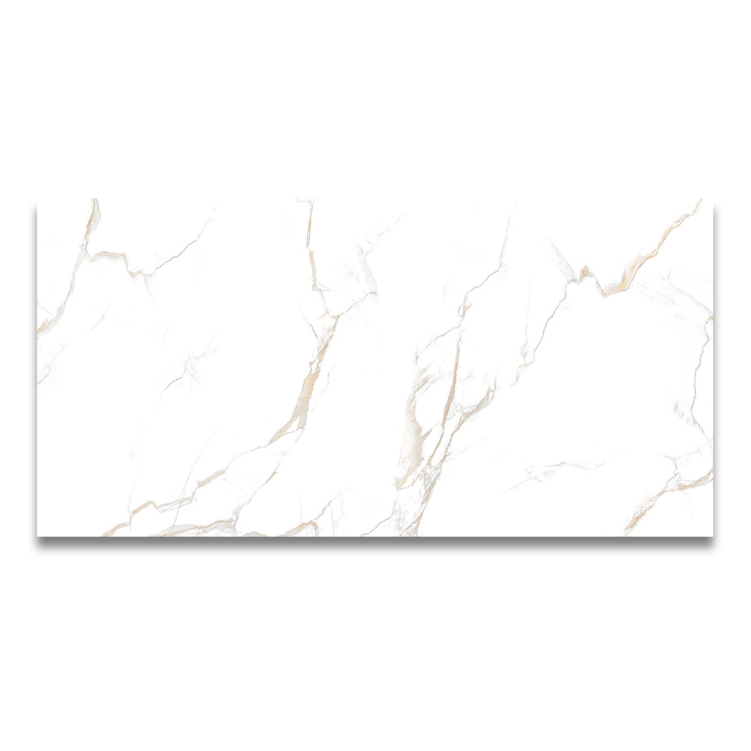 Palazzo White 24"x48" Porcelain Tile 3/8"