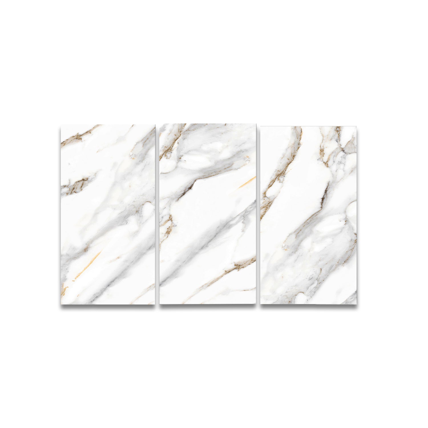 Raffaello 24"x48" Porcelain Tile 3/8"