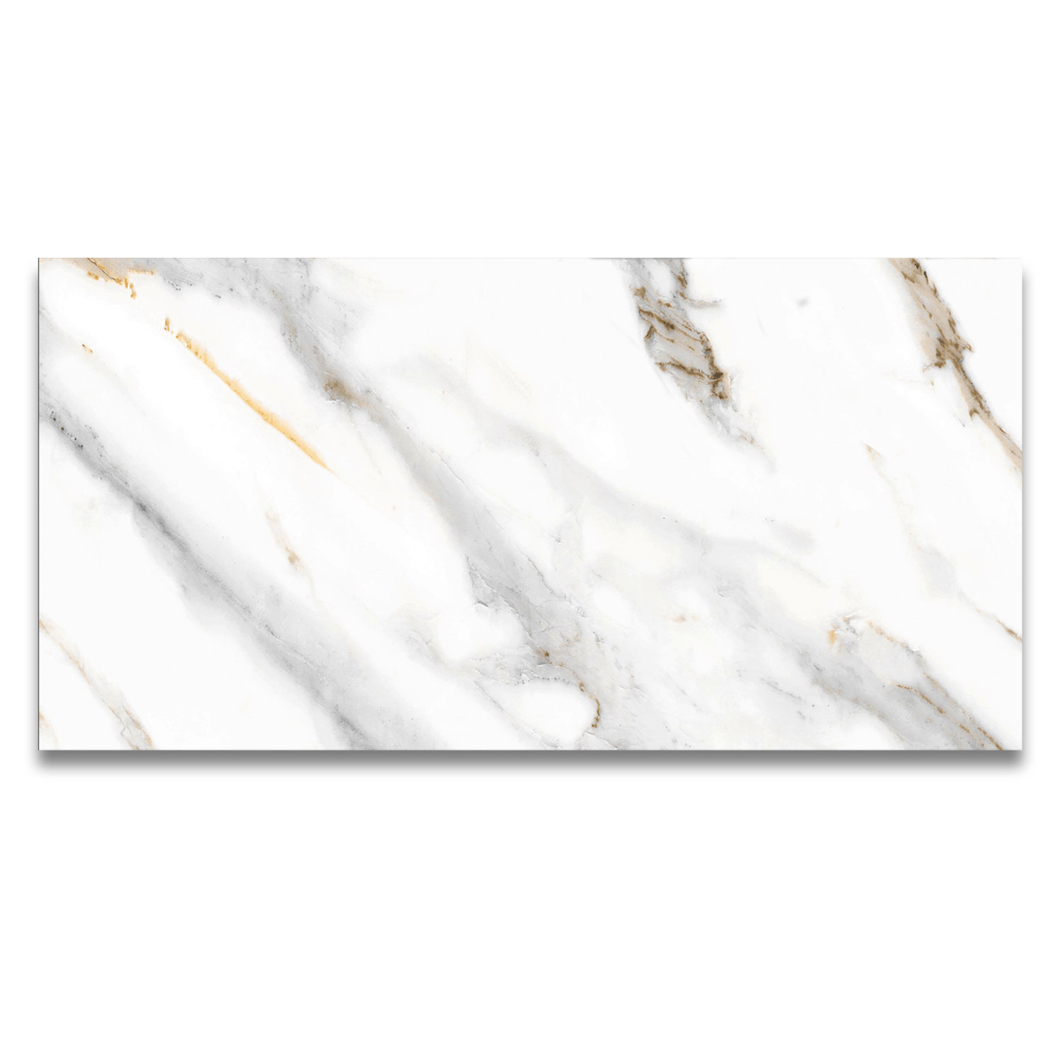 Raffaello 24"x48" Porcelain Tile 3/8"
