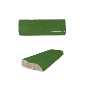 #color_302-cactus-green