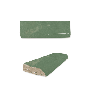 #color_303-agave-green