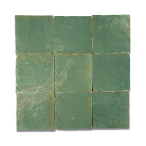 #color_303-agave-green