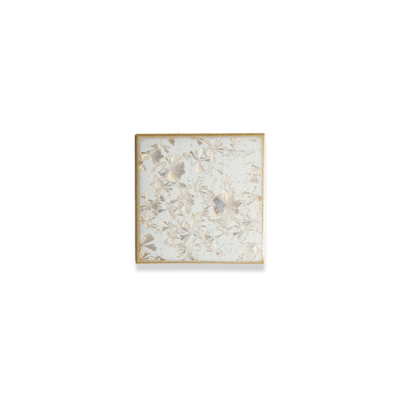 Coco White | 4” x 4" Glaze Tile