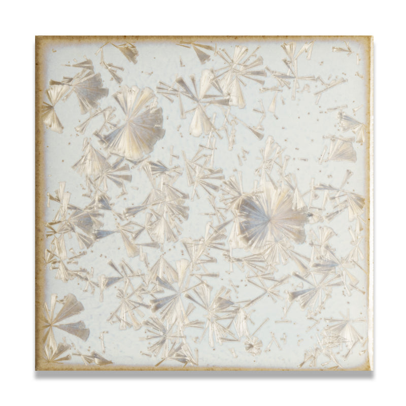 Coco White | 4” x 4" Glaze Tile