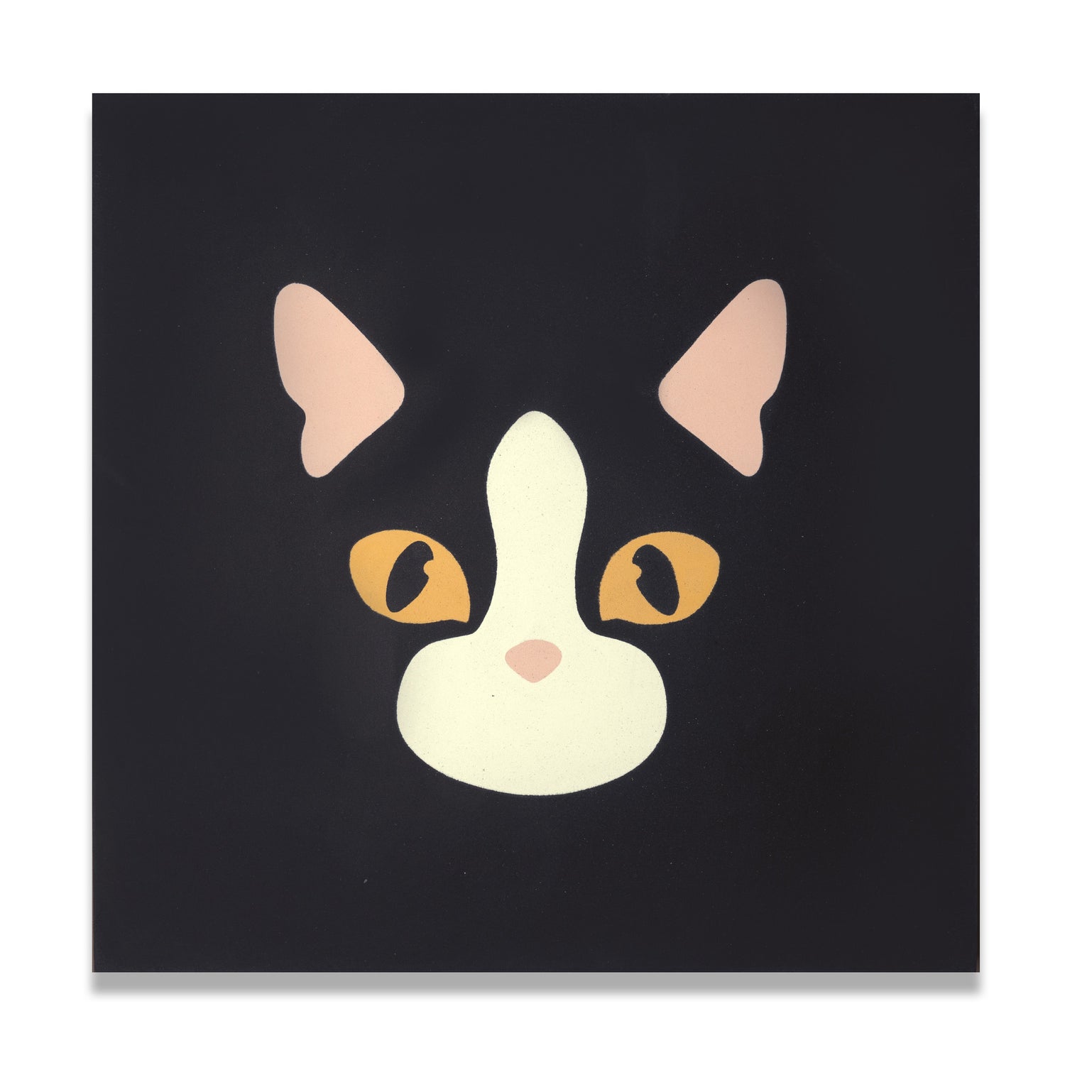 Boo 8"x8" Floor & Wall Tile