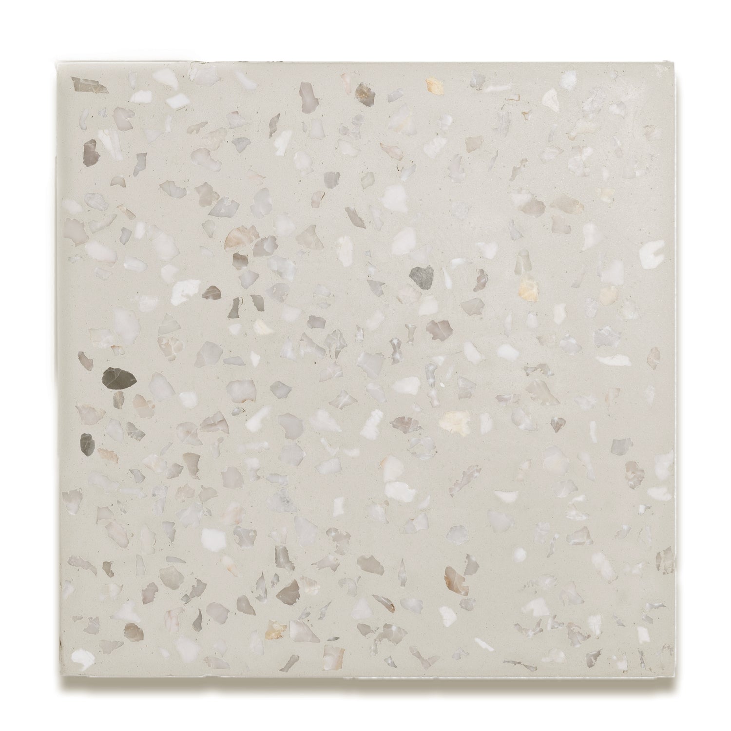Hail Terrazzo 8"x8" Floor & Wall Tile