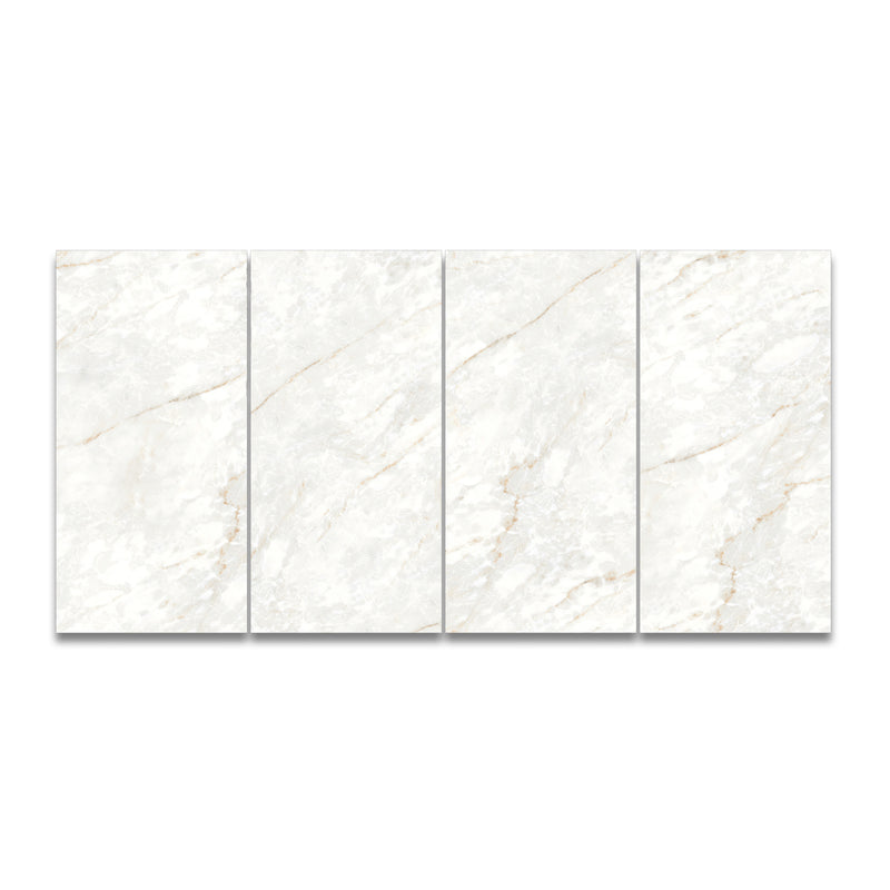 Marble Di Medici 24"x48" Porcelain Tile 3/8"