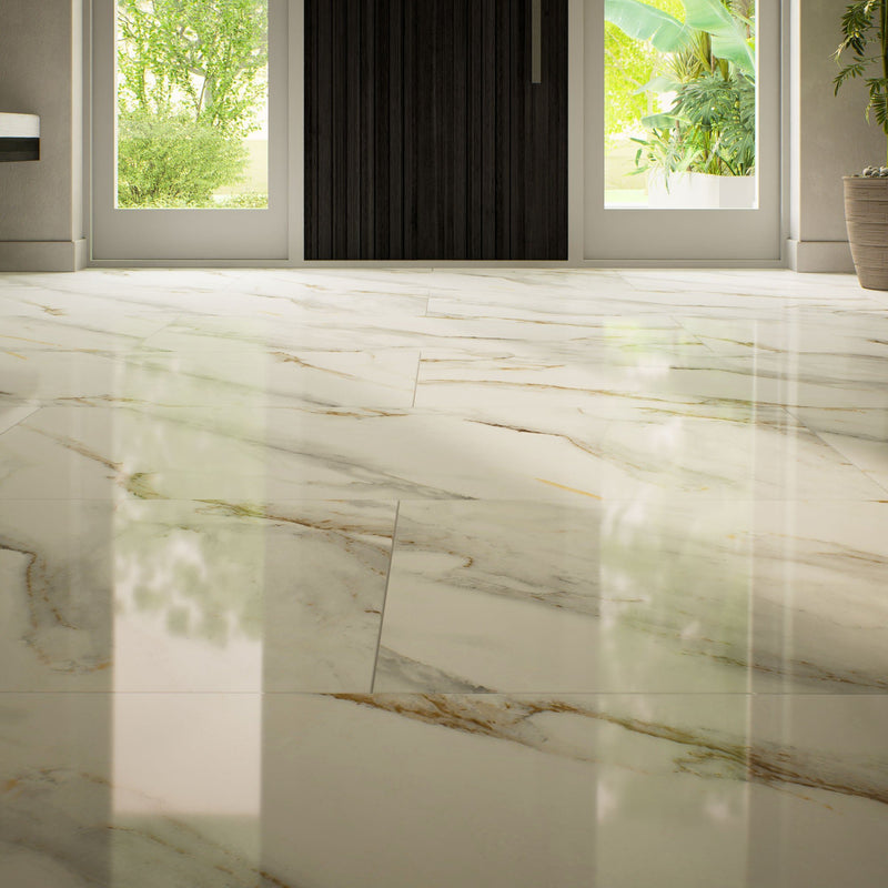 Raffaello 24"x48" Porcelain Tile 3/8"