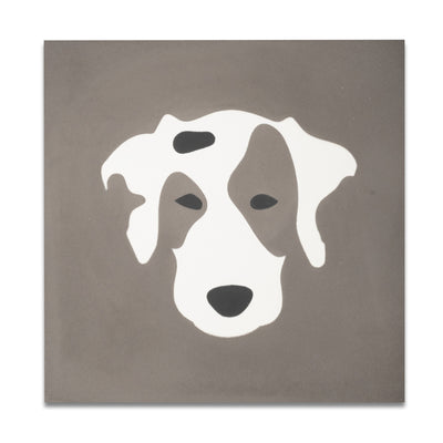 Rocky 8"x8" Floor & Wall Tile