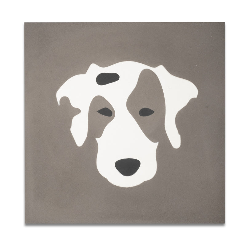 Rocky 8"x8" Floor & Wall Tile