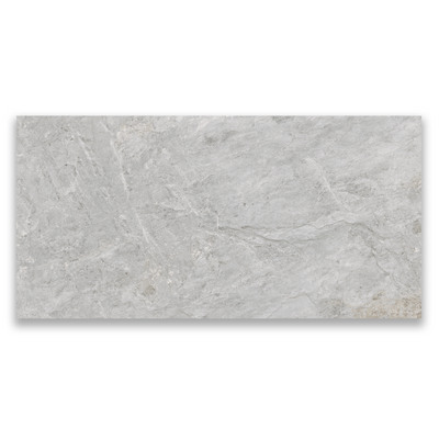 Bergamot 20x40 Porcelain Paver 3/4″