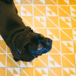 Versailles Cement Tile - LiLi Tile 