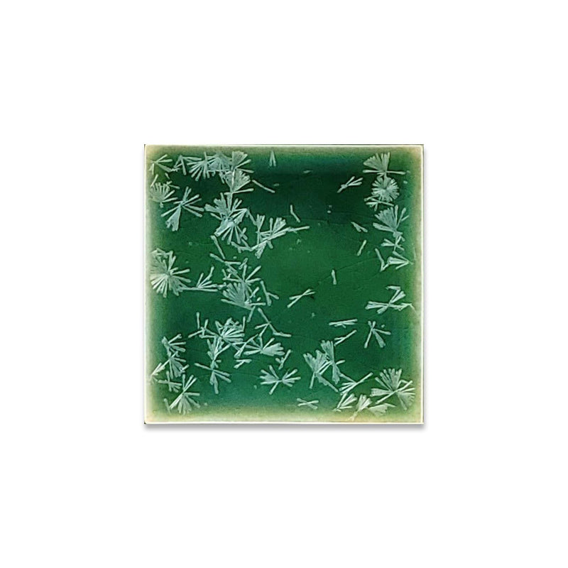 Bacardi Green | 4” x 4" Glaze Tile
