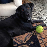 Lorely - Medallion Cement Tile - LiLi Tile 